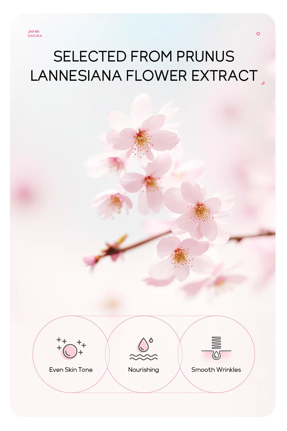 Masque Peeling Or 24K Sakura LAIKOU – Exfoliant & Éclat du Teint