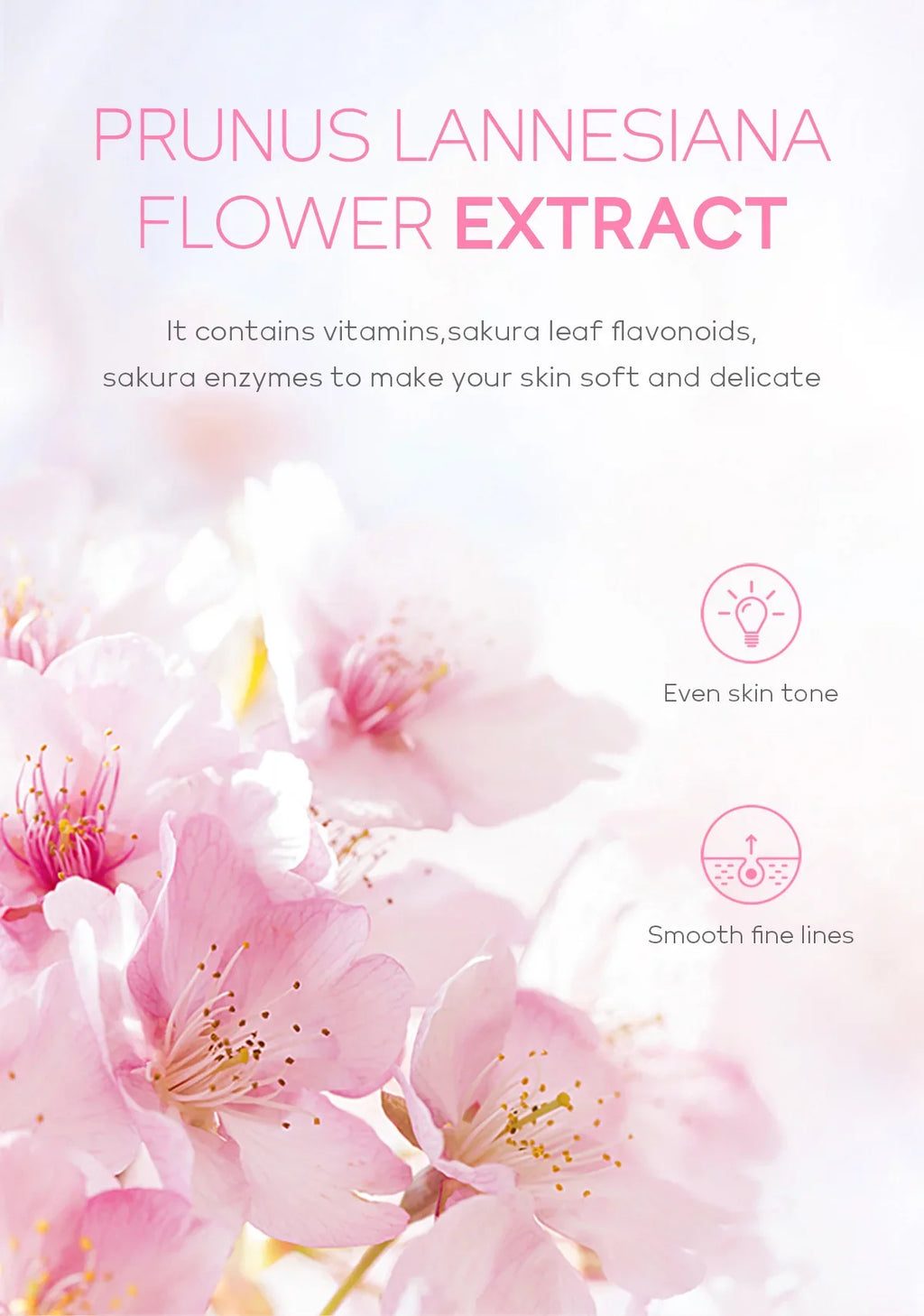Gel Exfoliant Visage Sakura FENYI – Soin Nettoyant & Hydratant 60g